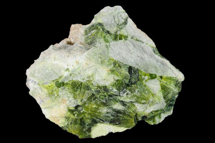 Radiating, Green Wavellite Crystal Aggregation - Arkansas #135970